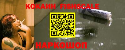 крисы Кулебаки