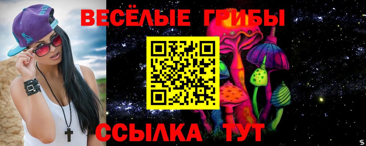 Псилоцибиновые грибы Psilocybe  Вход с VPN  Южноуральск 